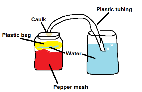 A diagram of my fermenting rig